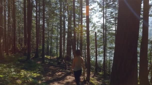 Kobieta Wędrująca Lesie Deszczowym Słoneczny Letni Dzień Kanadyjska Natura Park — Wideo stockowe