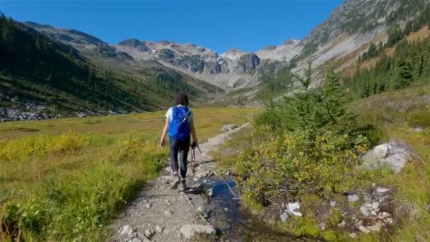 Gente Aventurera Haciendo Senderismo Canadian Mountain Landscape Temporada Otoño Soleado — Vídeo de stock