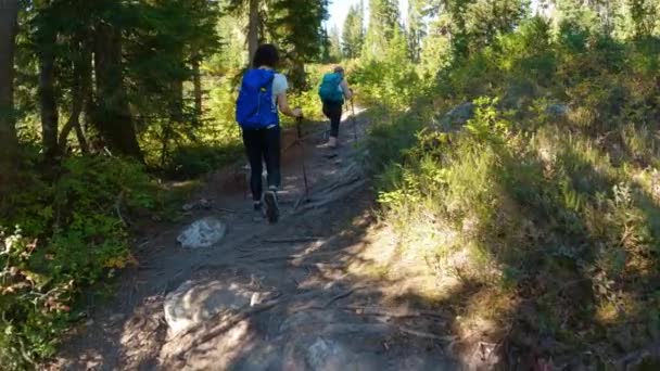 Orang Orang Petualang Hiking Canadian Mountain Landscape Sunny Musim Gugur — Stok Video