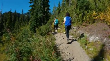 Kanada Dağ Manzarası 'nda yürüyüş yapan maceraperest insanlar. Sunny Fall sezonu. Whistler ve Squamish yakınlarındaki Brandywine Meadows, British Columbia, Kanada. Macera Yolculuğu. Yavaş Sinema Sineması