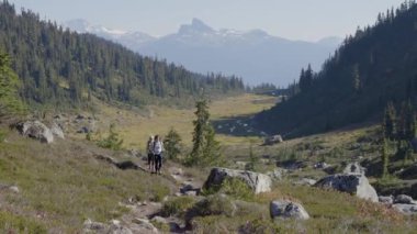 Kanada Dağ Manzarası 'nda yürüyüş yapan maceraperest insanlar. Sunny Fall sezonu. Whistler ve Squamish yakınlarındaki Brandywine Meadows, British Columbia, Kanada. Macera Yolculuğu. Yavaş Sinema Sineması