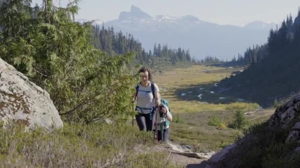 Adventurous People Hiking Canadian Mountain Landscape Sunny Fall Season Brandywine — Stock Video