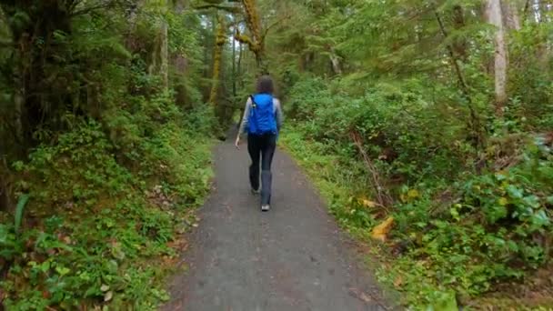 女性とハイキングトレイル熱帯雨林でハイキング サンヨゼフ湾 ケープスコット州立公園 北バンクーバー島 カナダ カナダの自然背景 シネマティック4K — ストック動画