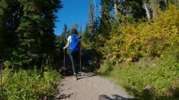 Gente Avventurosa Che Cammina Nel Paesaggio Montano Canadese Stagione Autunnale — Video Stock