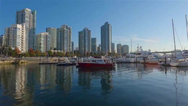 Båtar Marina Med Urban Downtown City Byggnader Bakgrunden False Creek — Stockvideo
