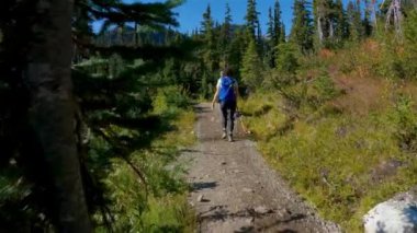 Kanada Dağ Manzarası 'nda yürüyüş yapan maceraperest insanlar. Sunny Fall sezonu. Whistler ve Squamish yakınlarındaki Brandywine Meadows, British Columbia, Kanada. Macera Yolculuğu. Yavaş Sinema Sineması