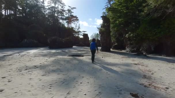 女性太平洋の砂浜を歩く海岸ビュー 晴れ空 サンヨゼフ湾 ケープスコット州立公園 北バンクーバー島 カナダ カナダの自然背景 シネマティック4K — ストック動画