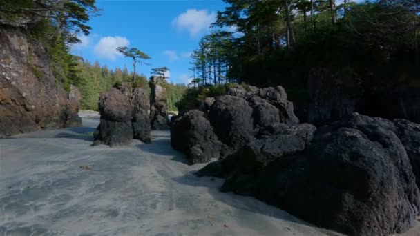 Sandstrand Stilla Havets Kustutsikt Solig Blå Himmel San Josef Bay — Stockvideo