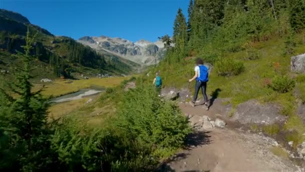 Adventurous People Hiking Canadian Mountain Landscape Sunny Fall Season Brandywine — Stock Video