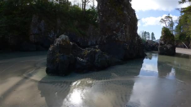 太平洋沿岸の砂浜ビュー 晴れ青い空 サンヨゼフ湾 ケープスコット州立公園 北バンクーバー島 カナダ カナダの自然背景 シネマティック4Kスローモーション — ストック動画
