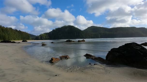 Sandstrand Pazifik Mit Blick Auf Die Küste Sonnenblauer Himmel San — Stockvideo