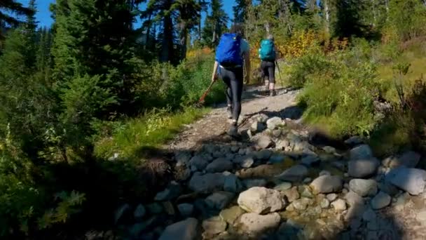 Pessoas Aventureiras Caminhando Paisagem Montanhosa Canadense Temporada Outono Ensolarado Brandywine — Vídeo de Stock