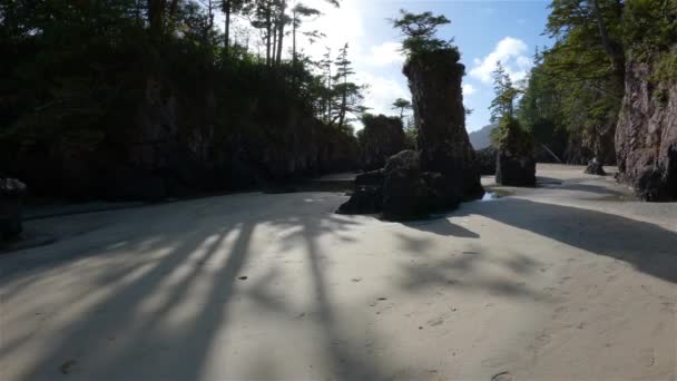 Pasifik Okyanusu Sahil Manzarası Ndaki Kumsal Güneşli Mavi Gökyüzü San — Stok video