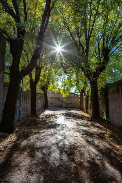 Pathway City Park Brick Old Historic Walls Rome Italy Sunny — Stock Photo, Image
