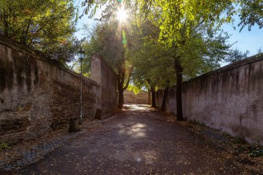 Şehir Parkı 'ndaki yol. Eski Tuğla Duvarları. Roma, İtalya. Güneşli Gün.