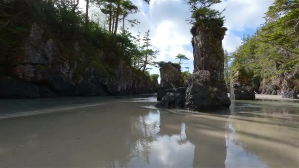 Spiaggia Sabbiosa Sulla Costa Dell Oceano Pacifico Sunny Blue Sky — Video Stock
