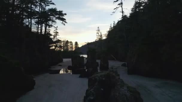 太平洋海岸景观上的沙滩 夕阳西下加拿大不列颠哥伦比亚省温哥华岛北部斯科特角省级公园圣约瑟夫湾 加拿大自然背景 电影4K慢动作 — 图库视频影像