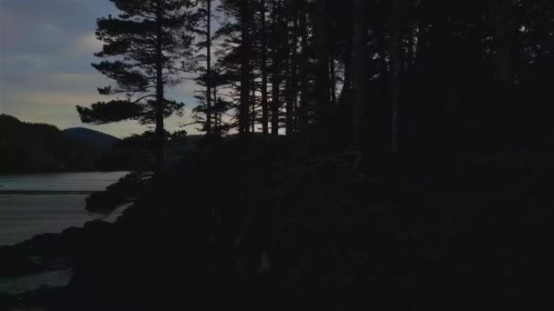 太平洋海岸景观上的沙滩 夕阳西下加拿大不列颠哥伦比亚省温哥华岛北部斯科特角省级公园圣约瑟夫湾 加拿大自然背景 电影4K慢动作 — 图库视频影像