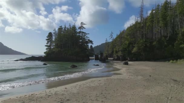 太平洋沿岸の砂浜ビュー 晴れ青い空 サンヨゼフ湾 ケープスコット州立公園 北バンクーバー島 カナダ カナダの自然背景 シネマティック4Kスローモーション — ストック動画