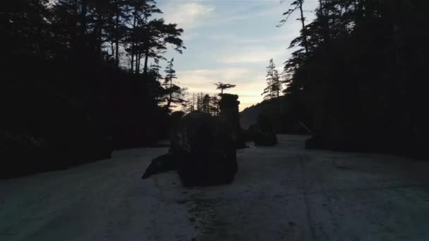 太平洋沿岸の砂浜ビュー サンセット スカイ サンヨゼフ湾 ケープスコット州立公園 北バンクーバー島 カナダ カナダの自然背景 シネマティック4Kスローモーション — ストック動画