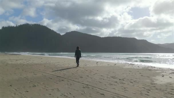 Wandelende Vrouw Zandstrand Aan Pacific Ocean Coast View Bewolkte Lucht — Stockvideo
