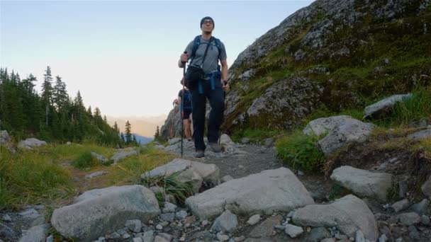 Adventurous Man Woman Hiker Top Canadian Mountain Landscape Trees Sunny — Stockvideo
