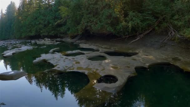 Кінетичний Вид Канадську Природу Сонячний Осінній День Oyster River Potholes — стокове відео