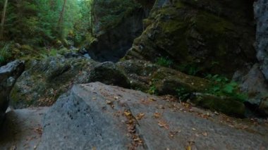 Canadian Nature Landscape with river. Adventure Travel. Little Huson Caves Park, Vancouver Island, British Columbia, Canada. Slow Motion Cinematic