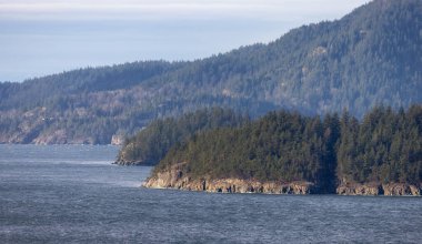 Rocky Coast of Anvil Island in Howe Sound near Vancouver and Squamish, British Columbia, Canada. Canadian Nature Background