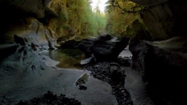 Kanada Doğa Manzarası nehirli bir mağaranın içinde. Macera Yolculuğu. Little Huson Mağara Parkı, Vancouver Adası, British Columbia, Kanada. Yavaş Sinema Sineması