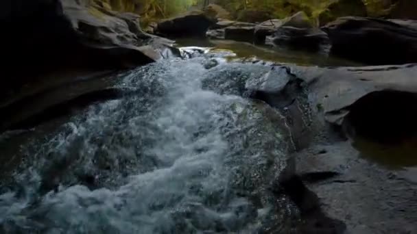 川のある洞窟の中のカナダ自然景観 冒険旅行 リトル フソン洞窟公園 バンクーバー島 ブリティッシュコロンビア州 カナダ スローモーション シネマティック — ストック動画