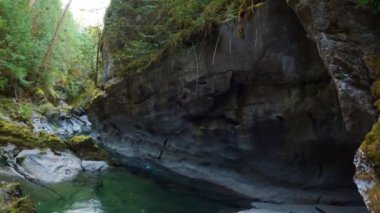 Canadian Nature Landscape with river. Adventure Travel. Little Huson Caves Park, Vancouver Island, British Columbia, Canada. Slow Motion Cinematic