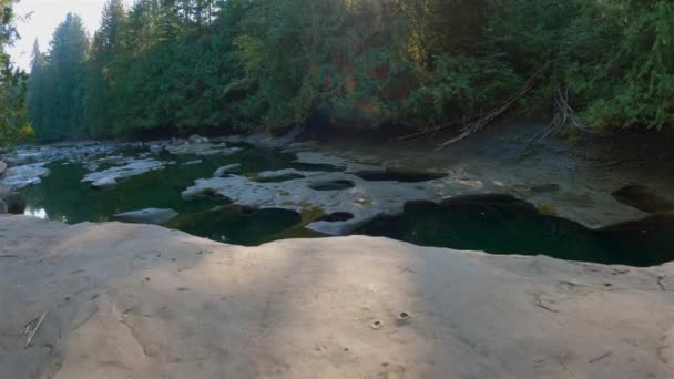 夏天阳光明媚的日子里 加拿大自然的电影观 加拿大不列颠哥伦比亚省温哥华市坎贝尔河的牡蛎河坑洞 — 图库视频影像