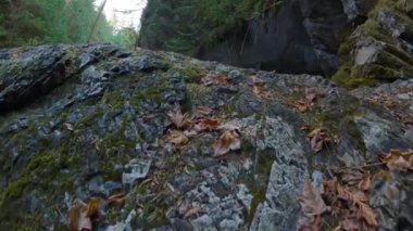 Canadian Nature Landscape with river. Adventure Travel. Little Huson Caves Park, Vancouver Island, British Columbia, Canada. Slow Motion Cinematic