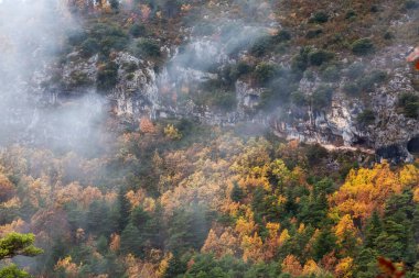 Colorful Trees on the Mountain during Fall Season. France, Europe. Nature Background.
