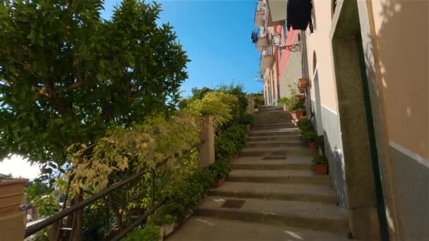 Colorful Apartment Homes Touristic Town Riomaggiore Italy Cinque Terre National — 비디오
