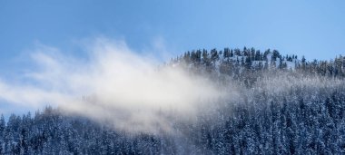 Snow and Cloud covered Canadian Nature Landscape Background. Winter Season in Squamish, British Columbia, Canada. Sunny Sky