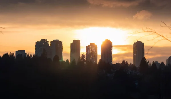 Residential Apartments Highrises Metrotown Area Taken Deer Lake Burnaby Vancouver — Stockfoto