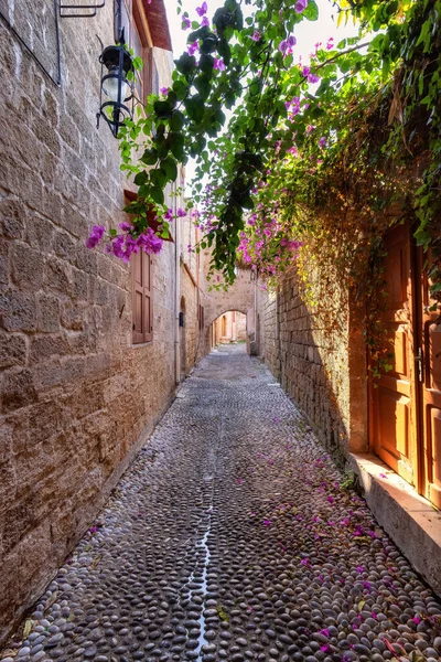 Streets Residential Homes Historic Old Town Rhodes Greece Sunny Morning — Stock Photo, Image