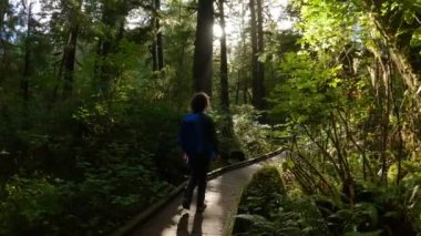 Yağmur ormanlarında kadın yürüyüşü yapan bir yürüyüş patikası. San Josef Körfezi, Scott Burnu İl Parkı, Kuzey Vancouver Adası, BC, Kanada. Kanada Doğa Arkaplanı. Sinematik 4k