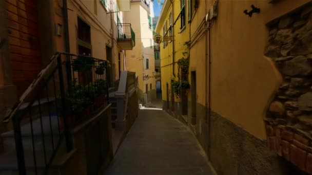 Colorful Apartment Homes Touristic Town Riomaggiore Italy Cinque Terre National — Αρχείο Βίντεο