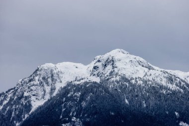 Snow and Cloud covered Canadian Nature Landscape Background. Winter Season in Whistler, British Columbia, Canada. From Blackcomb Mountain