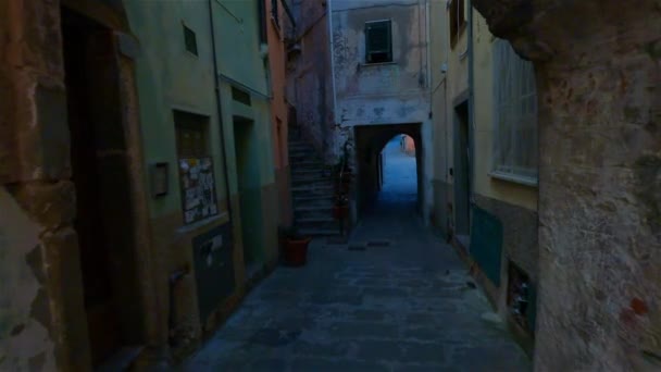 Colorful Apartment Homes Touristic Town Riomaggiore Italy Cinque Terre National — Stock videók