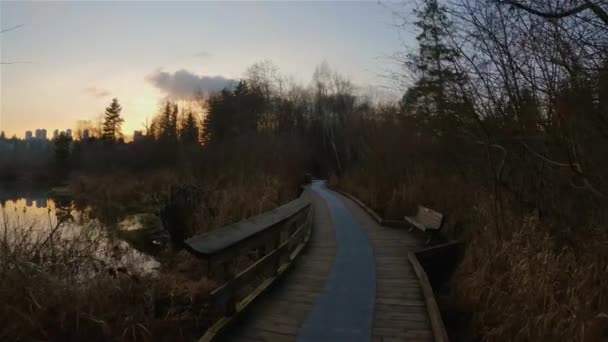 Stezka Klidného Jezera Moderním Městě Jelení Jezero Park Burnaby Vancouver — Stock video