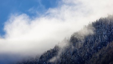 Snow and Cloud covered Canadian Nature Landscape Background. Winter Season in Squamish, British Columbia, Canada. Sunny Sky