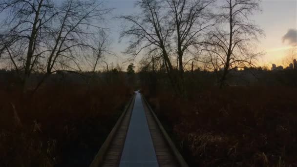 Trail Modern City Deer Lake Park Burnaby Vancouver Canada Colorful — Vídeo de stock