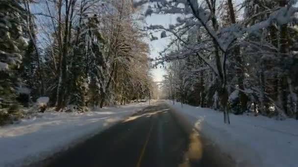 Ехать Зимней Дороге Сноу Солнечное Утро Бернаби Ванкувер Британская Колумбия — стоковое видео