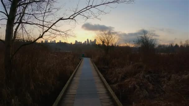 Modern Şehir Deer Lake Park Bir Patika Burnaby Vancouver Kanada — Stok video