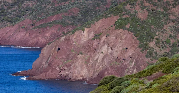 Rocky Cliffs Sea Coast Sardinia Italy Nature Background — Stock Photo, Image