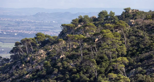 Green Trees Top Rocky Mountain Town Background Sardinia Italy — Foto de Stock